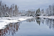 CANADA;PRINCE_EDWARD_ISLAND;PRINCE_COUNTY;WELLINGTON;WATER;TREES;SNOW;REFLECTION